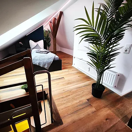 Liro דיסלדורף